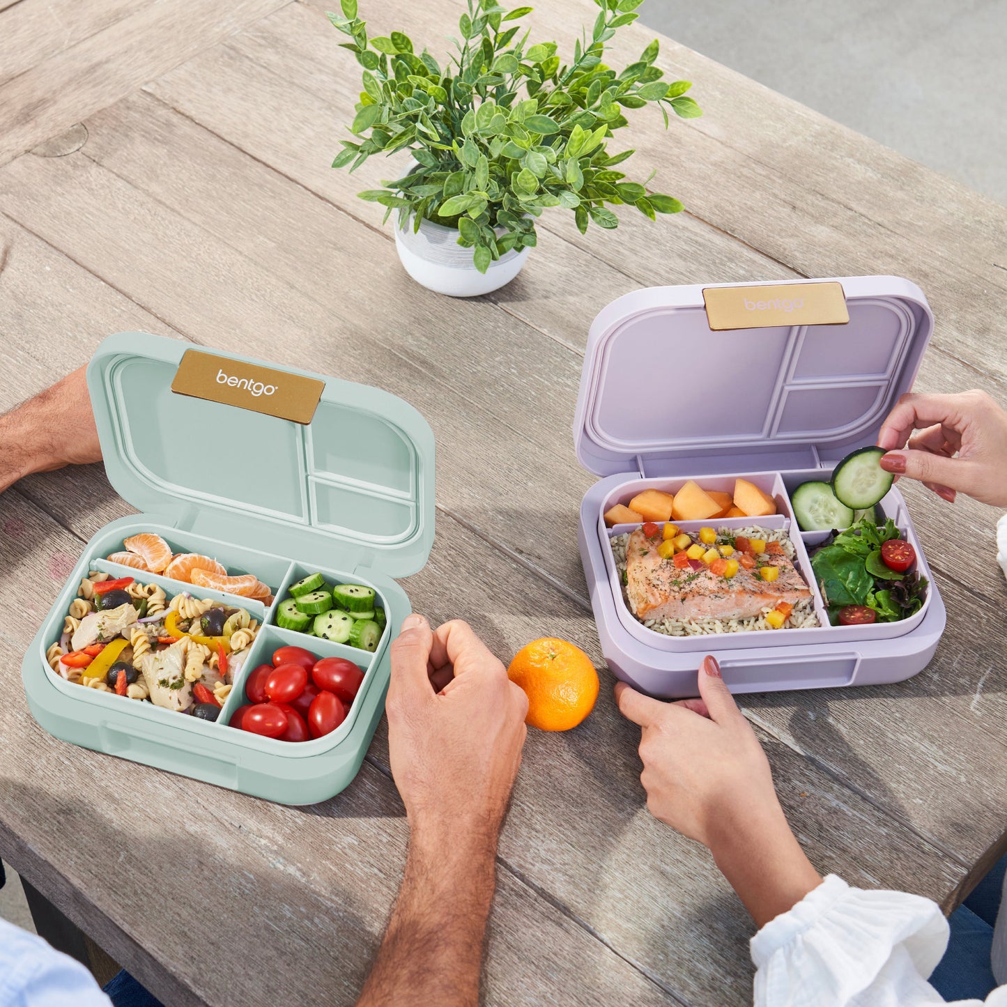 bentgo-modern-lunch-box-2-pack-d0 COSTCOBMCPRODUCTIMAGE_2.jpg